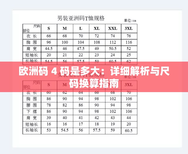 欧洲码 4 码是多大：详细解析与尺码换算指南