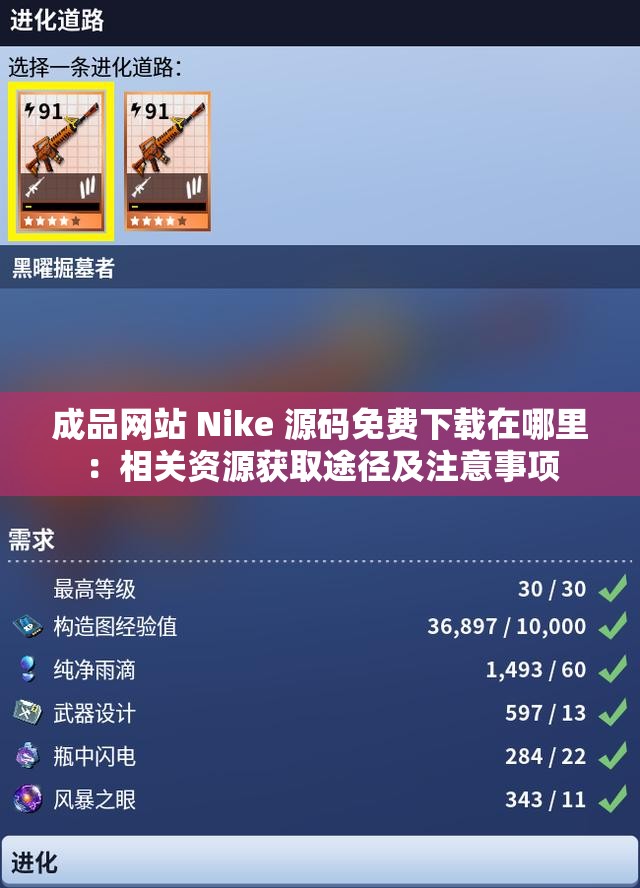 成品网站 Nike 源码免费下载在哪里：相关资源获取途径及注意事项