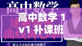 高中数学 1v1 补课班：专业辅导提升成绩的高效之选