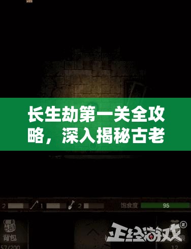 长生劫第一关全攻略，深入揭秘古老谜题，勇闯神秘古墓挑战极限