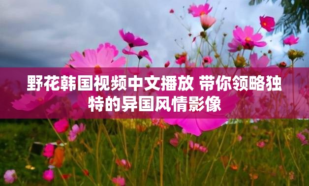 野花韩国视频中文播放 带你领略独特的异国风情影像