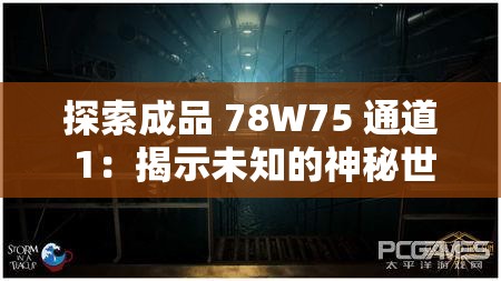 探索成品 78W75 通道 1：揭示未知的神秘世界