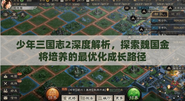 少年三国志2深度解析，探索魏国金将培养的最优化成长路径