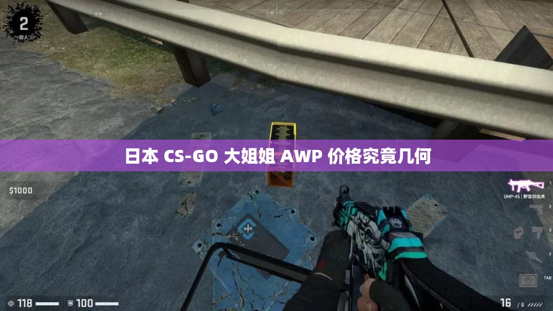 日本 CS-GO 大姐姐 AWP 价格究竟几何