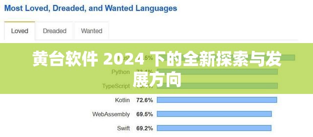 黄台软件 2024 下的全新探索与发展方向