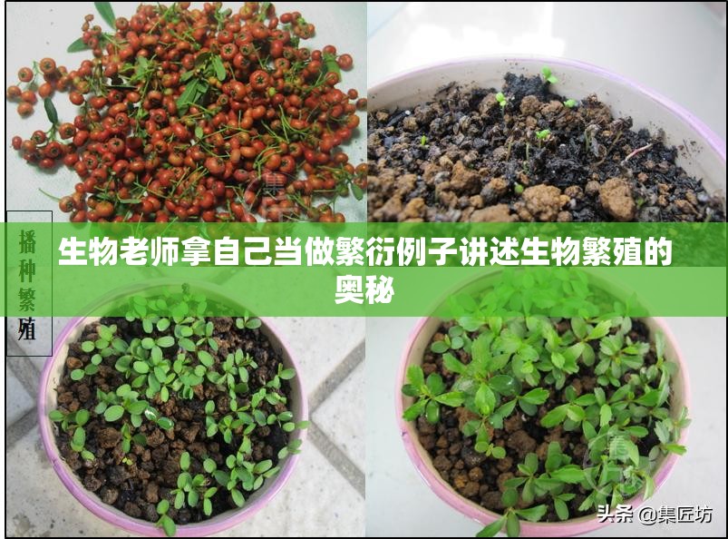 生物老师拿自己当做繁衍例子讲述生物繁殖的奥秘