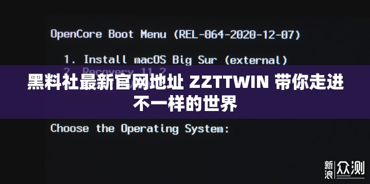 黑料社最新官网地址 ZZTTWIN 带你走进不一样的世界