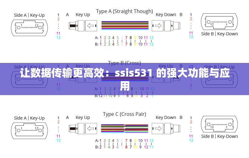 让数据传输更高效：ssis531 的强大功能与应用