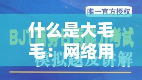 什么是大毛毛：网络用语解析