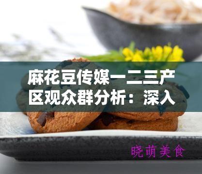 麻花豆传媒一二三产区观众群分析：深入探究观众特征与喜好差异