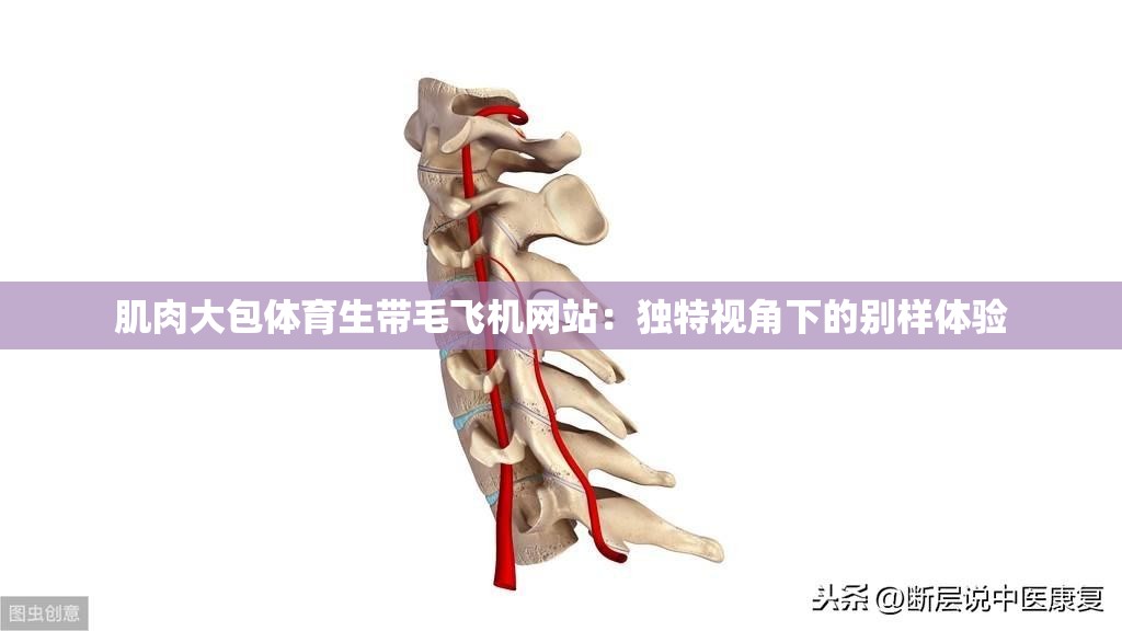 肌肉大包体育生带毛飞机网站：独特视角下的别样体验