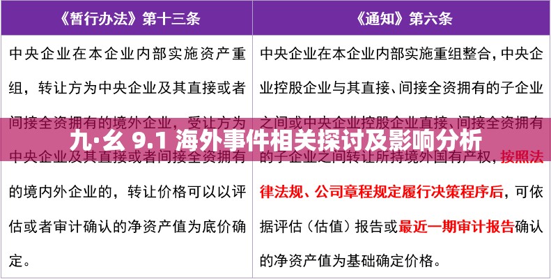 九·幺 9.1 海外事件相关探讨及影响分析