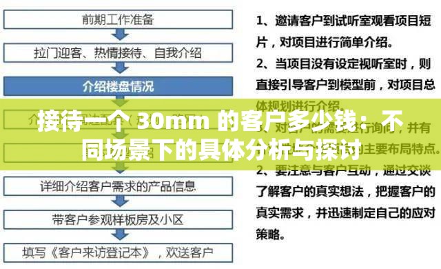 接待一个 30mm 的客户多少钱：不同场景下的具体分析与探讨