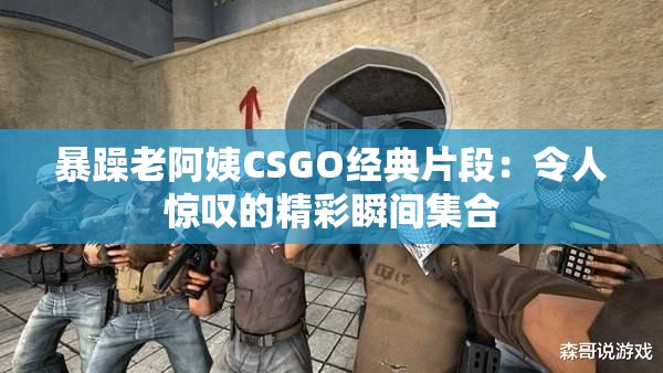 暴躁老阿姨CSGO经典片段：令人惊叹的精彩瞬间集合