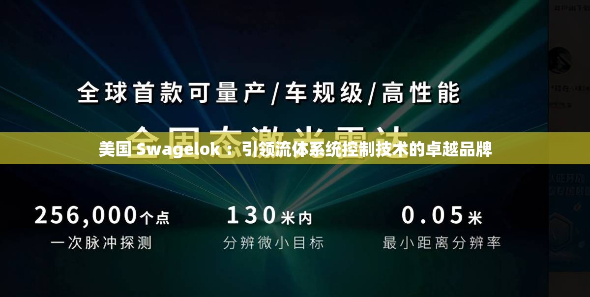 美国 Swagelok ：引领流体系统控制技术的卓越品牌