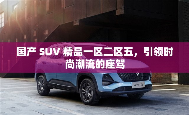 国产 SUV 精品一区二区五，引领时尚潮流的座驾