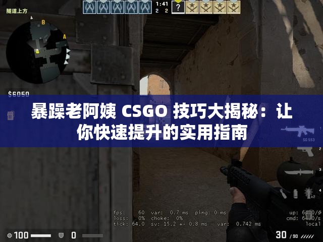 暴躁老阿姨 CSGO 技巧大揭秘：让你快速提升的实用指南