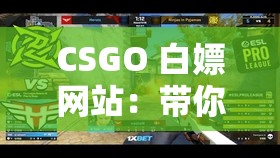 CSGO 白嫖网站：带你畅玩不花钱的顶级游戏世界