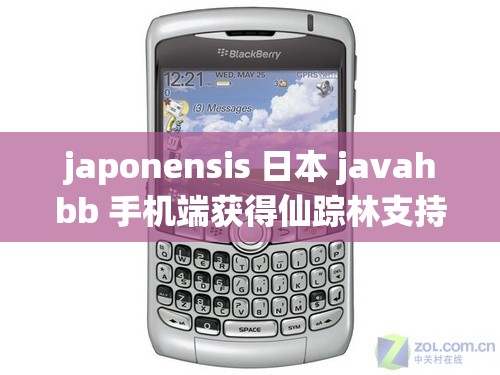 japonensis 日本 javahbb 手机端获得仙踪林支持：满足你对视频的无限畅享