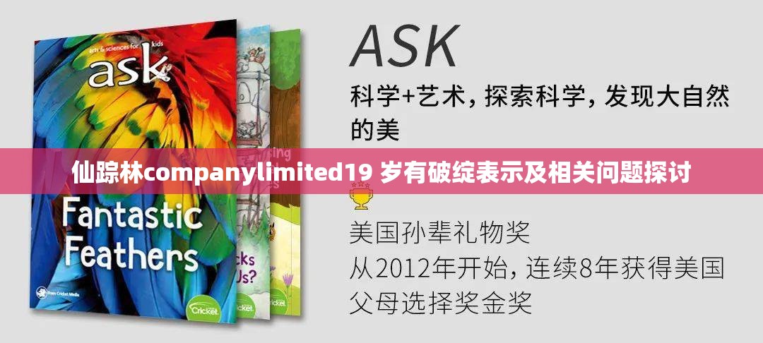 仙踪林companylimited19 岁有破绽表示及相关问题探讨