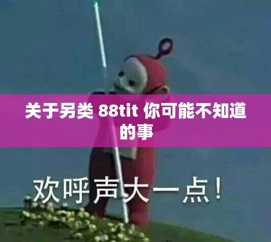 关于另类 88tit 你可能不知道的事