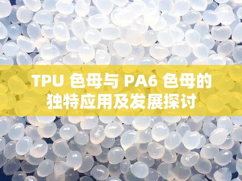 TPU 色母与 PA6 色母的独特应用及发展探讨