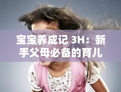 宝宝养成记 3H：新手父母必备的育儿全攻略