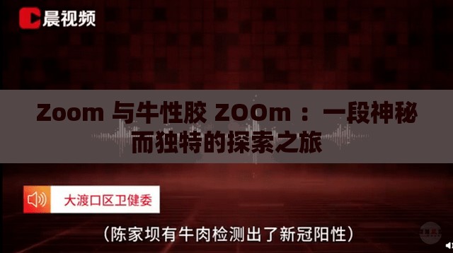 Zoom 与牛性胶 ZOOm ：一段神秘而独特的探索之旅