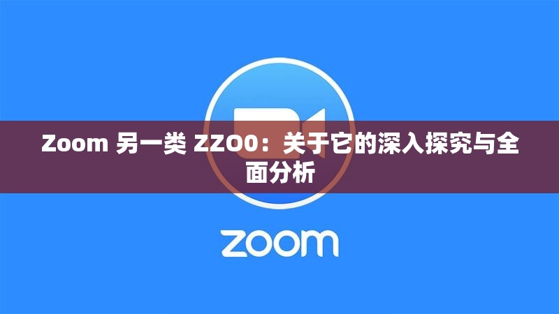 Zoom 另一类 ZZO0：关于它的深入探究与全面分析