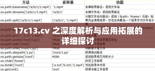 17c13.cv 之深度解析与应用拓展的详细探讨