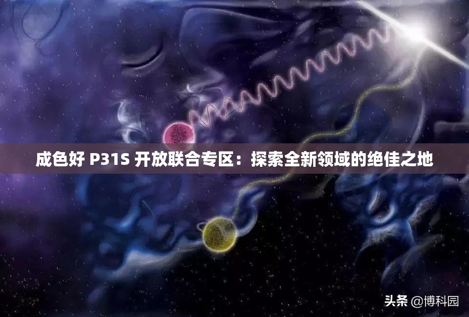 成色好 P31S 开放联合专区：探索全新领域的绝佳之地