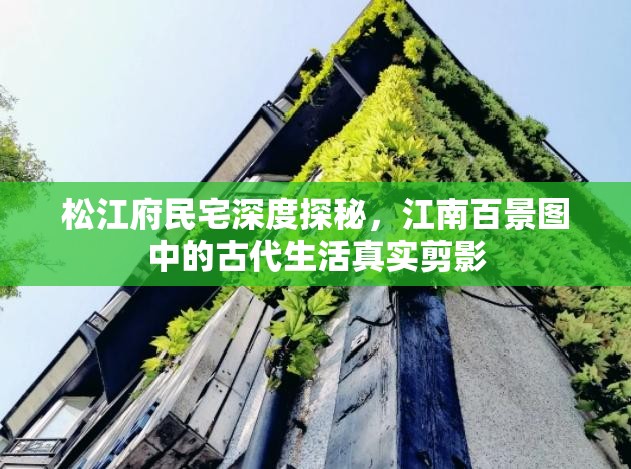 松江府民宅深度探秘，江南百景图中的古代生活真实剪影