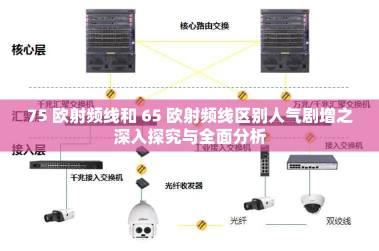 75 欧射频线和 65 欧射频线区别人气剧增之深入探究与全面分析