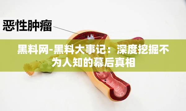 黑料网-黑料大事记：深度挖掘不为人知的幕后真相