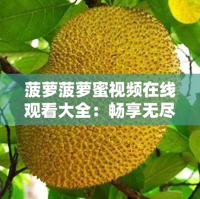 菠萝菠萝蜜视频在线观看大全：畅享无尽精彩