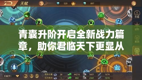 青囊升阶开启全新战力篇章，助你君临天下更显从容不迫之势