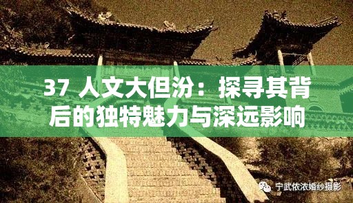 37 人文大但汾：探寻其背后的独特魅力与深远影响