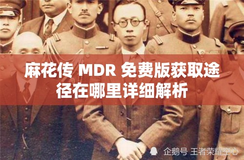 麻花传 MDR 免费版获取途径在哪里详细解析