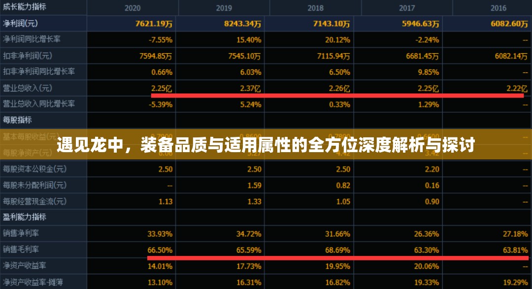 遇见龙中，装备品质与适用属性的全方位深度解析与探讨