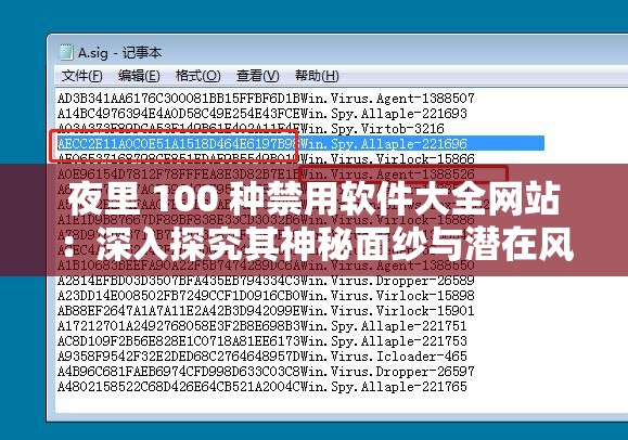 夜里 100 种禁用软件大全网站：深入探究其神秘面纱与潜在风险