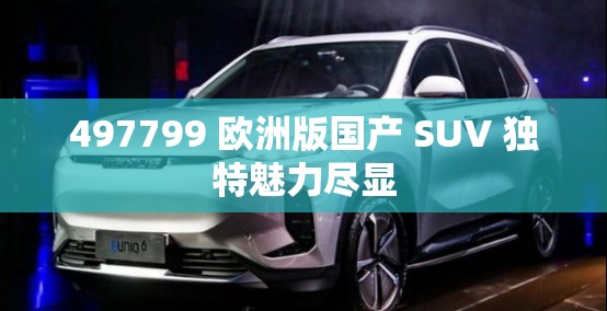 497799 欧洲版国产 SUV 独特魅力尽显