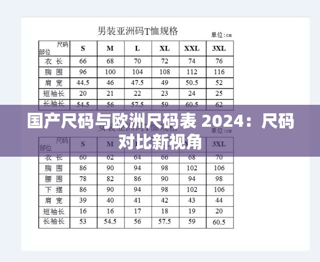 国产尺码与欧洲尺码表 2024：尺码对比新视角