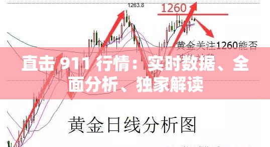 直击 911 行情：实时数据、全面分析、独家解读