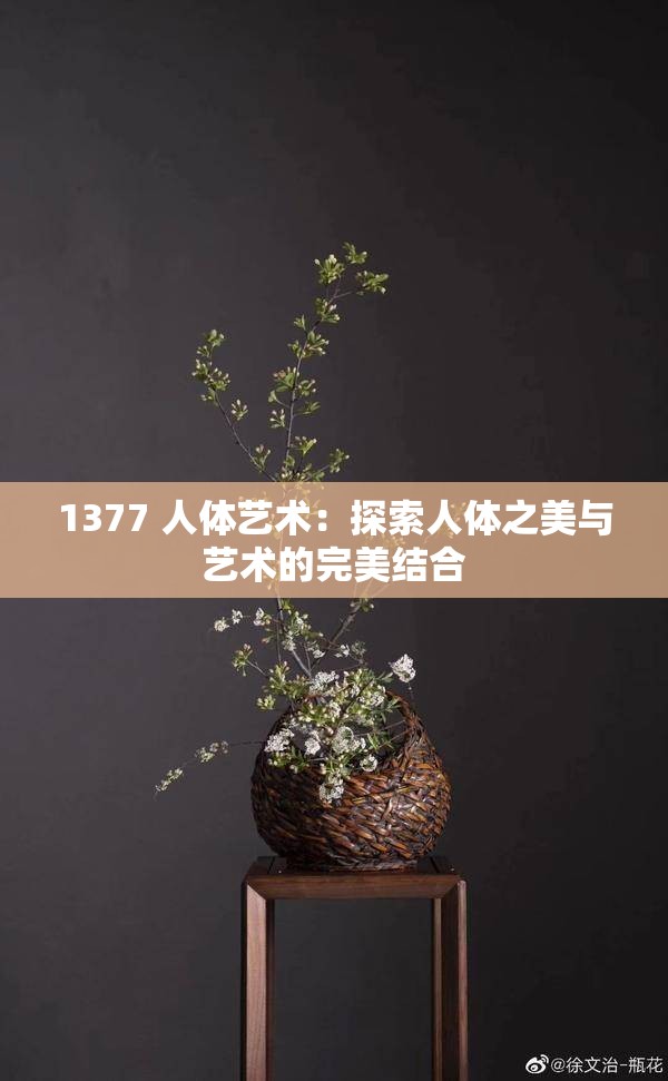 1377 人体艺术：探索人体之美与艺术的完美结合