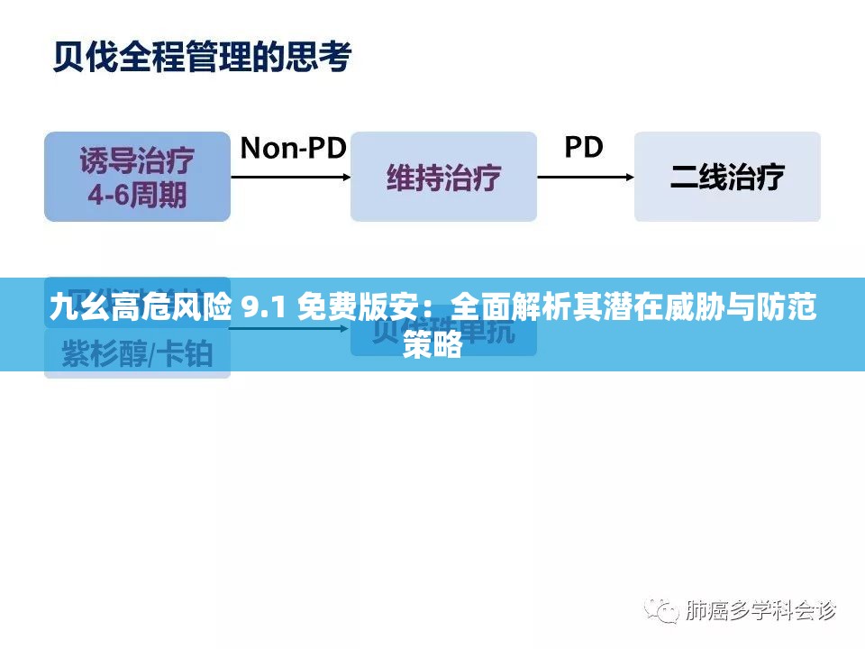 九幺高危风险 9.1 免费版安：全面解析其潜在威胁与防范策略