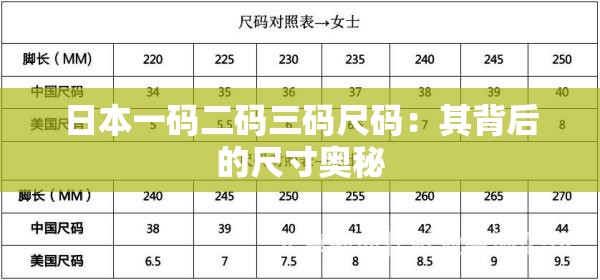 日本一码二码三码尺码：其背后的尺寸奥秘