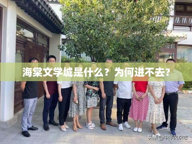 海棠文学城是什么？为何进不去？