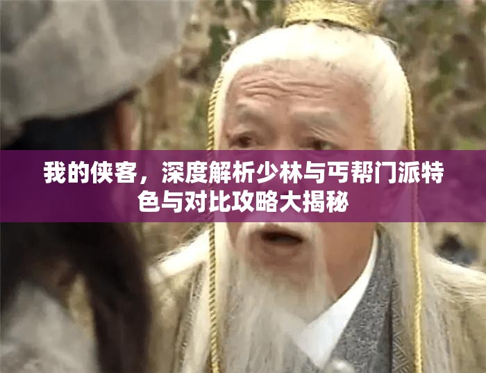 我的侠客，深度解析少林与丐帮门派特色与对比攻略大揭秘