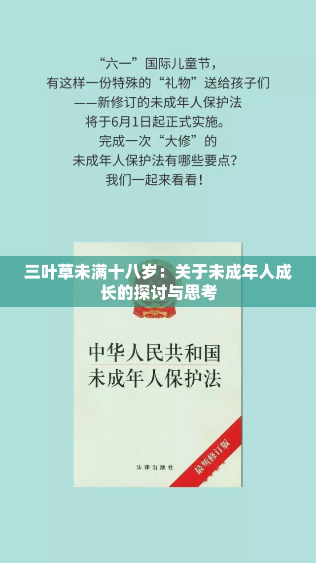 三叶草未满十八岁：关于未成年人成长的探讨与思考