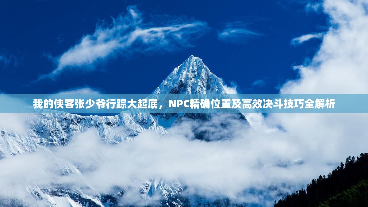 我的侠客张少爷行踪大起底，NPC精确位置及高效决斗技巧全解析